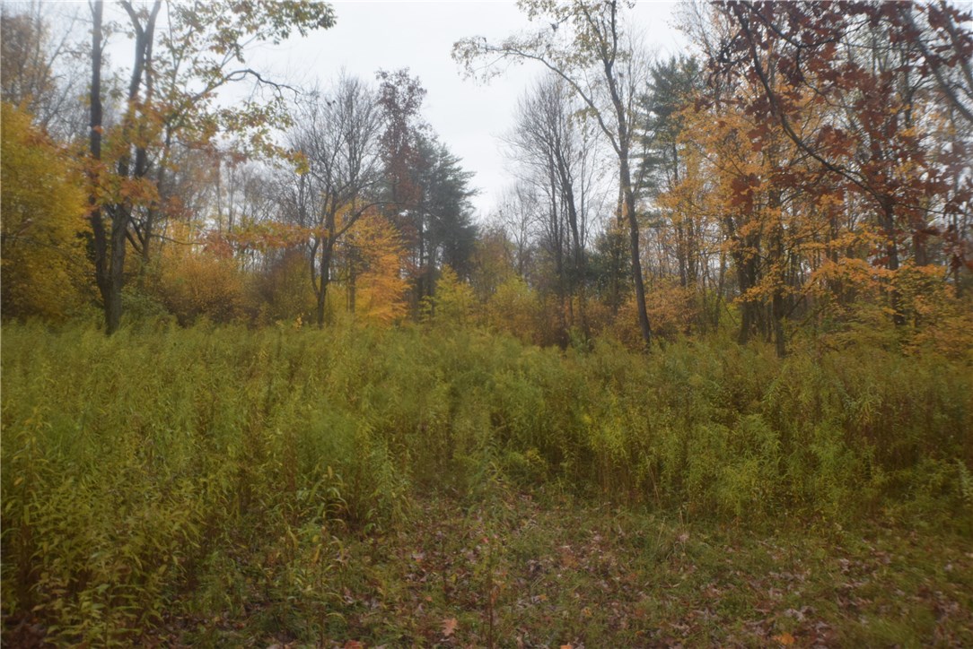 0 Crandall Road Guilford, NY 13780 - Photo 12 of 14