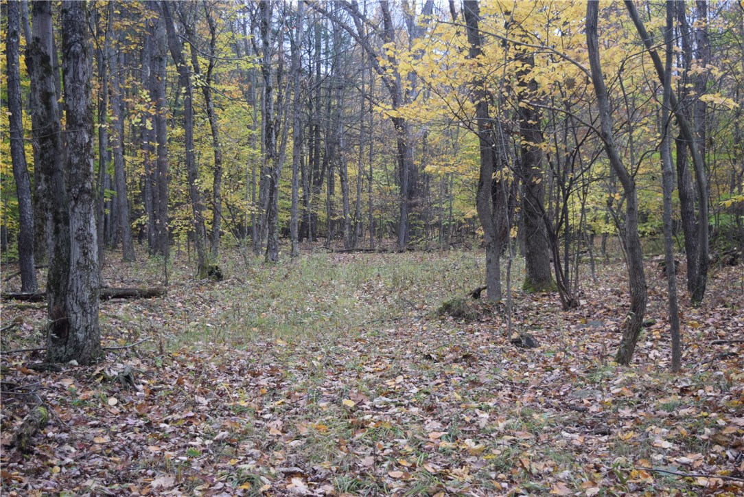 0 Crandall Road Guilford, NY 13780 - Photo 2 of 14