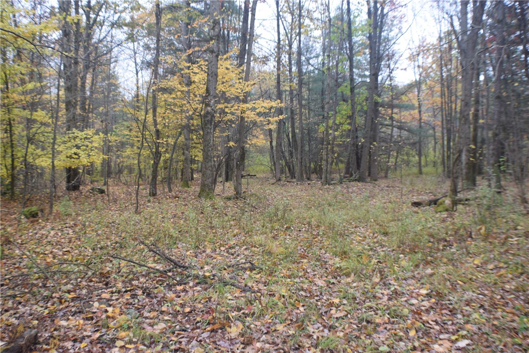 0 Crandall Road Guilford, NY 13780 - Photo 3 of 14