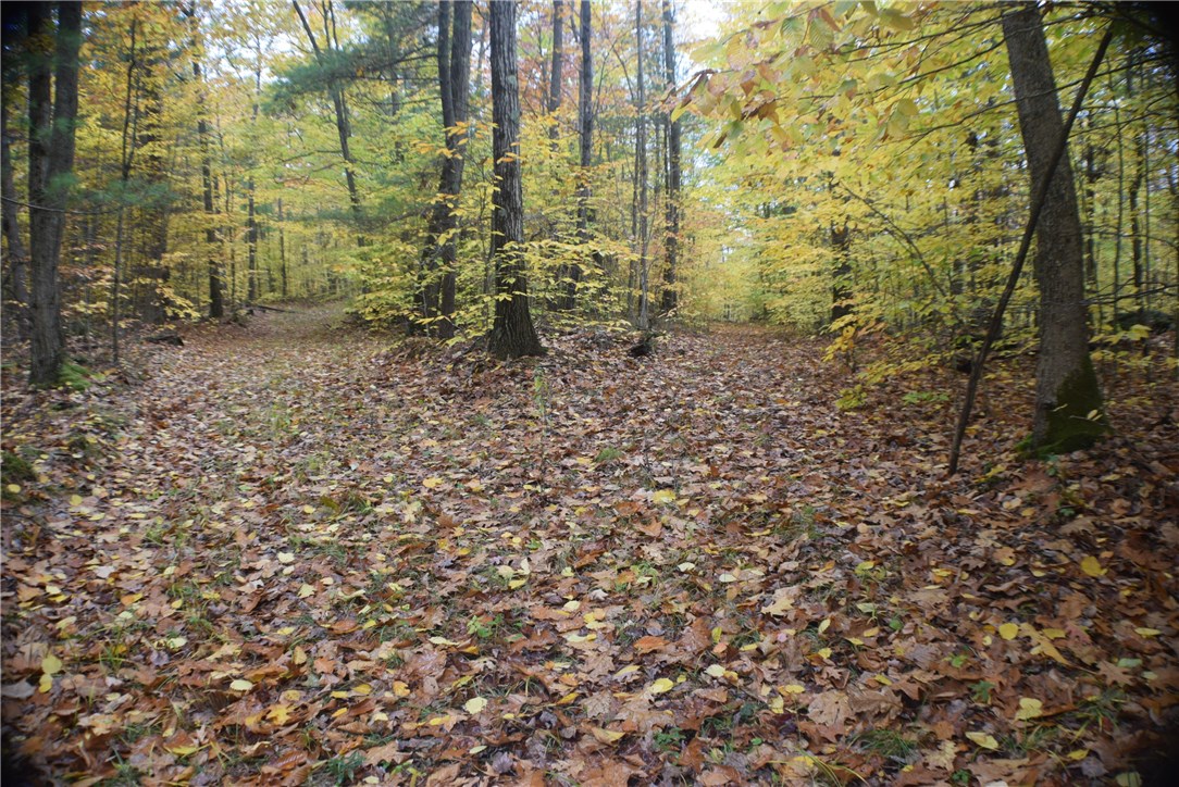 0 Crandall Road Guilford, NY 13780 - Photo 5 of 14