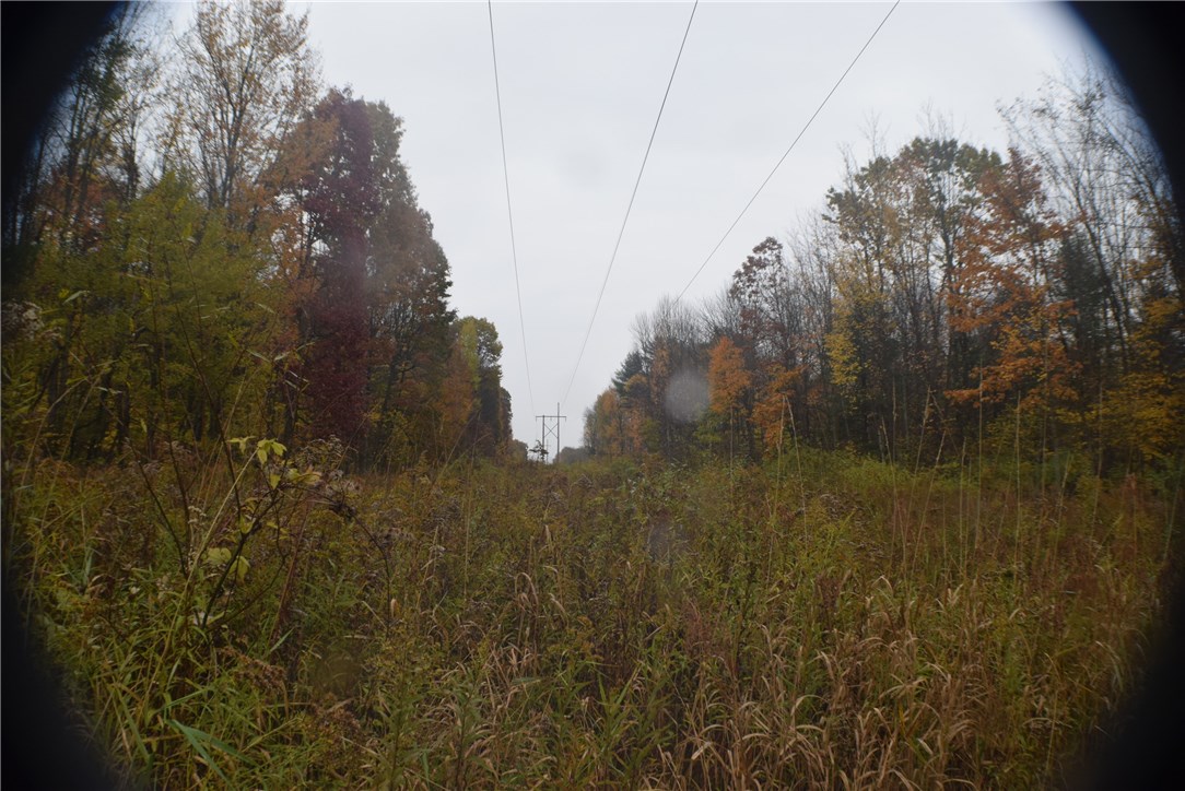 0 Crandall Road Guilford, NY 13780 - Photo 9 of 14