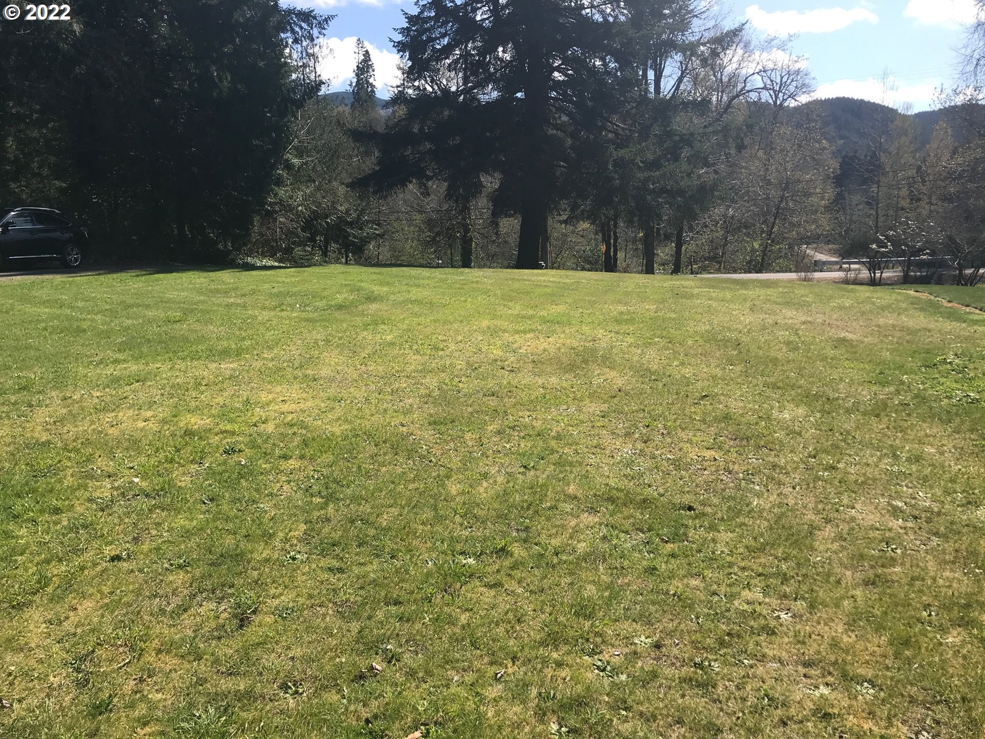Alexis Avenue, Unit 1 Springfield, OR 97478 - Photo 3 of 11 Buildable Area