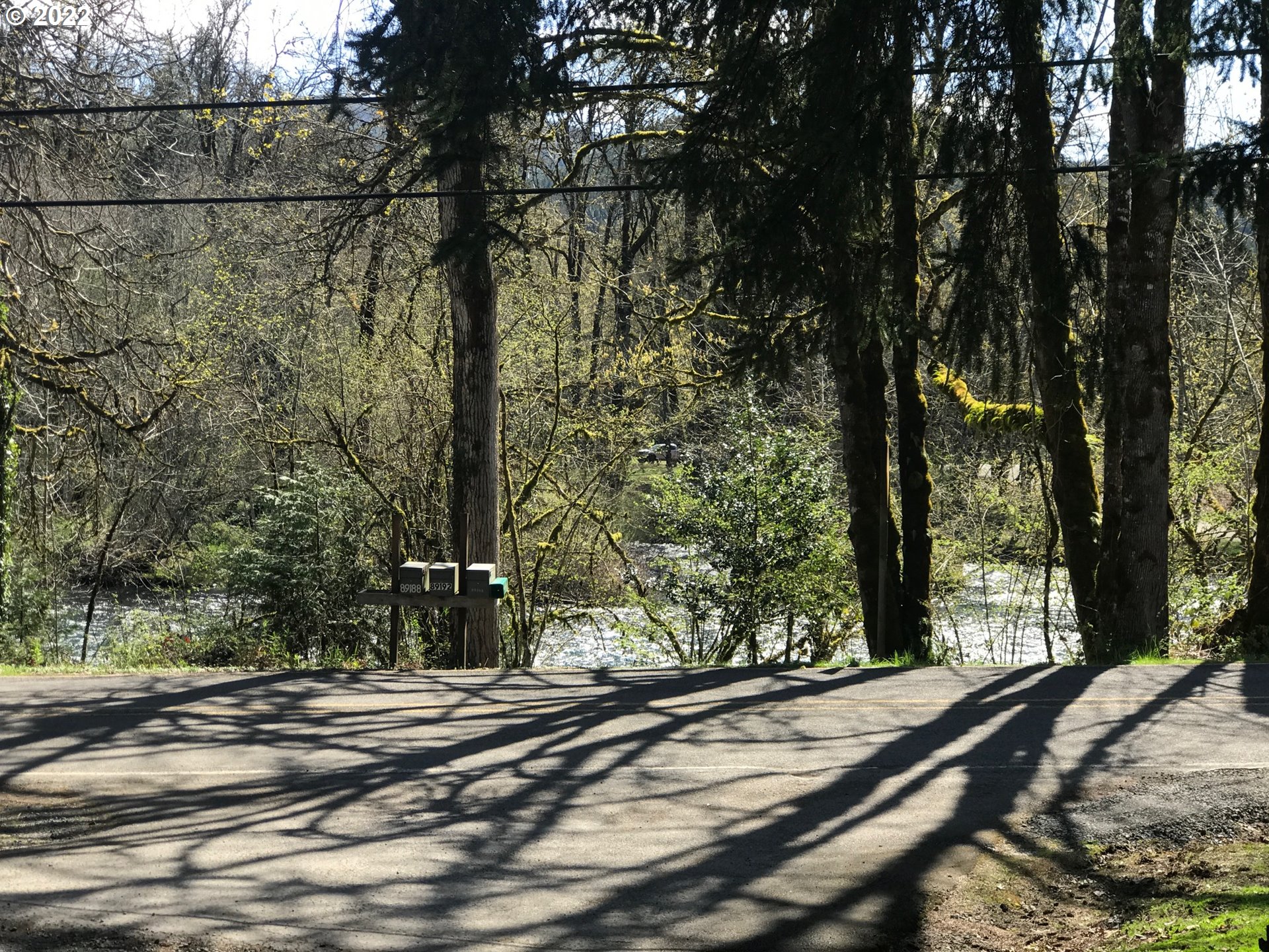 Alexis Avenue, Unit 1 Springfield, OR 97478 - Photo 6 of 11 River Access