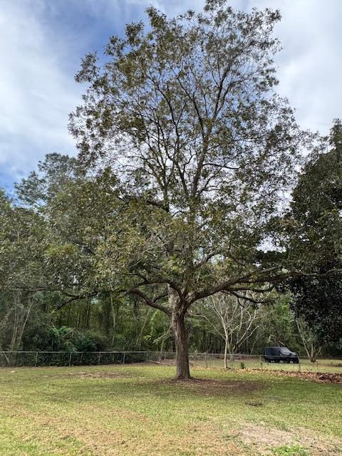 7142 Bloomville Road Manning, SC 29102 - Photo 19 of 20