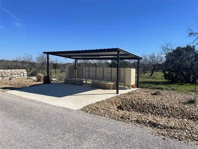 a large tree in middle of the forest