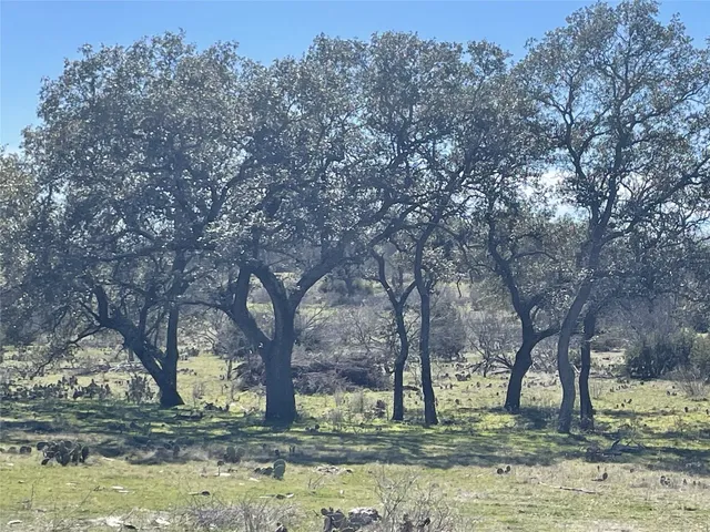 a view of a yard with a tree