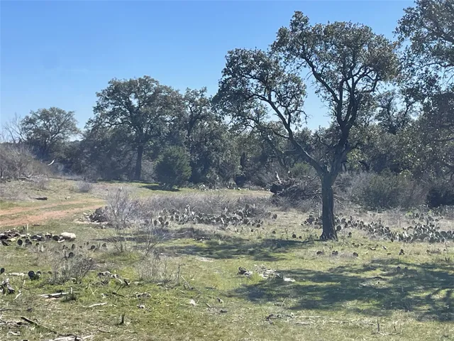 a view of yard with tree
