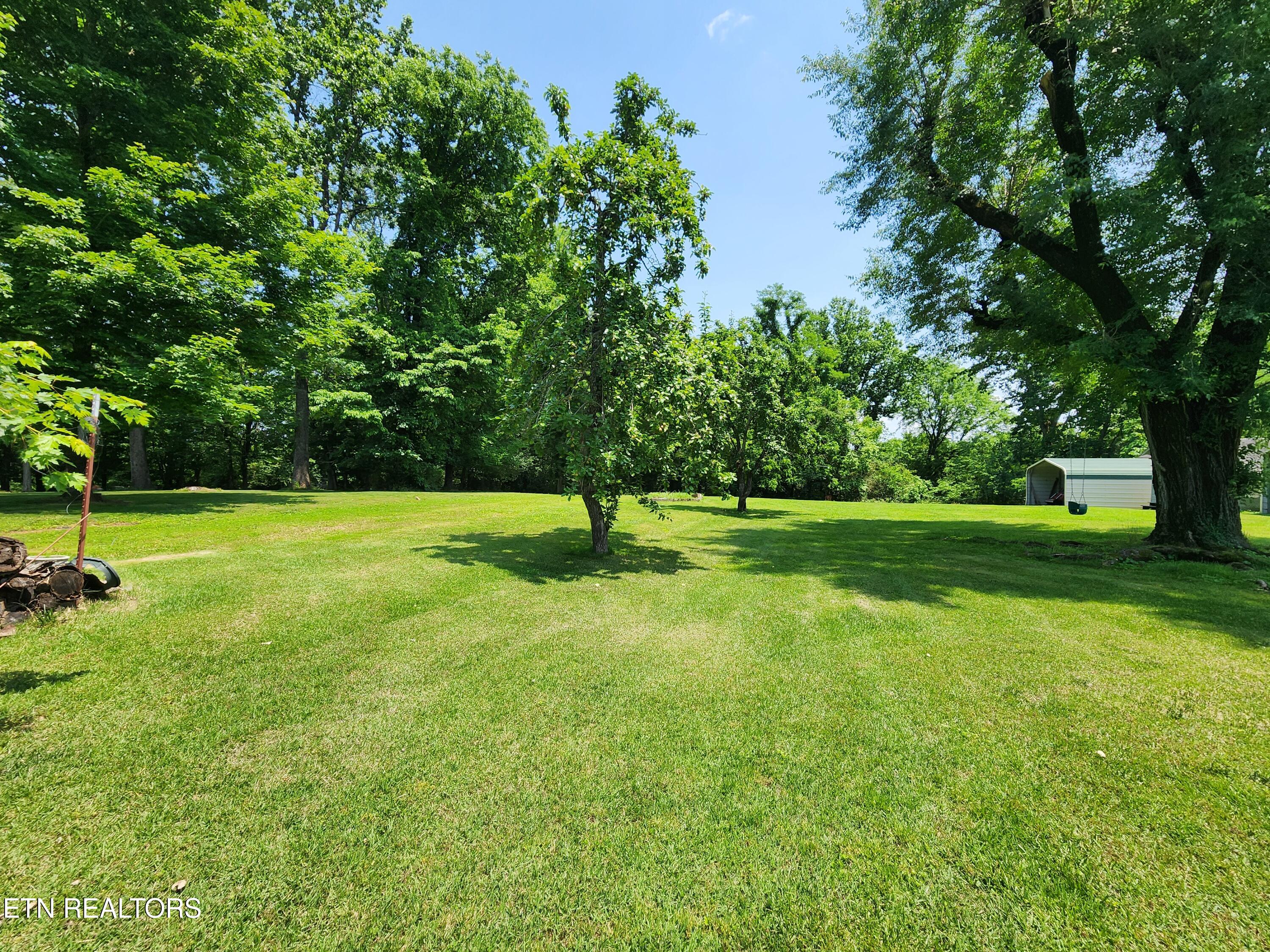 252 Harding Road Harriman, TN 37748 - Photo 54 of 60 20250602_141619