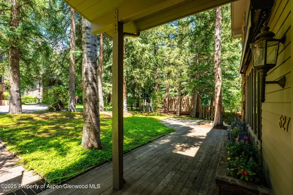 a view of a yard with plants and large trees
