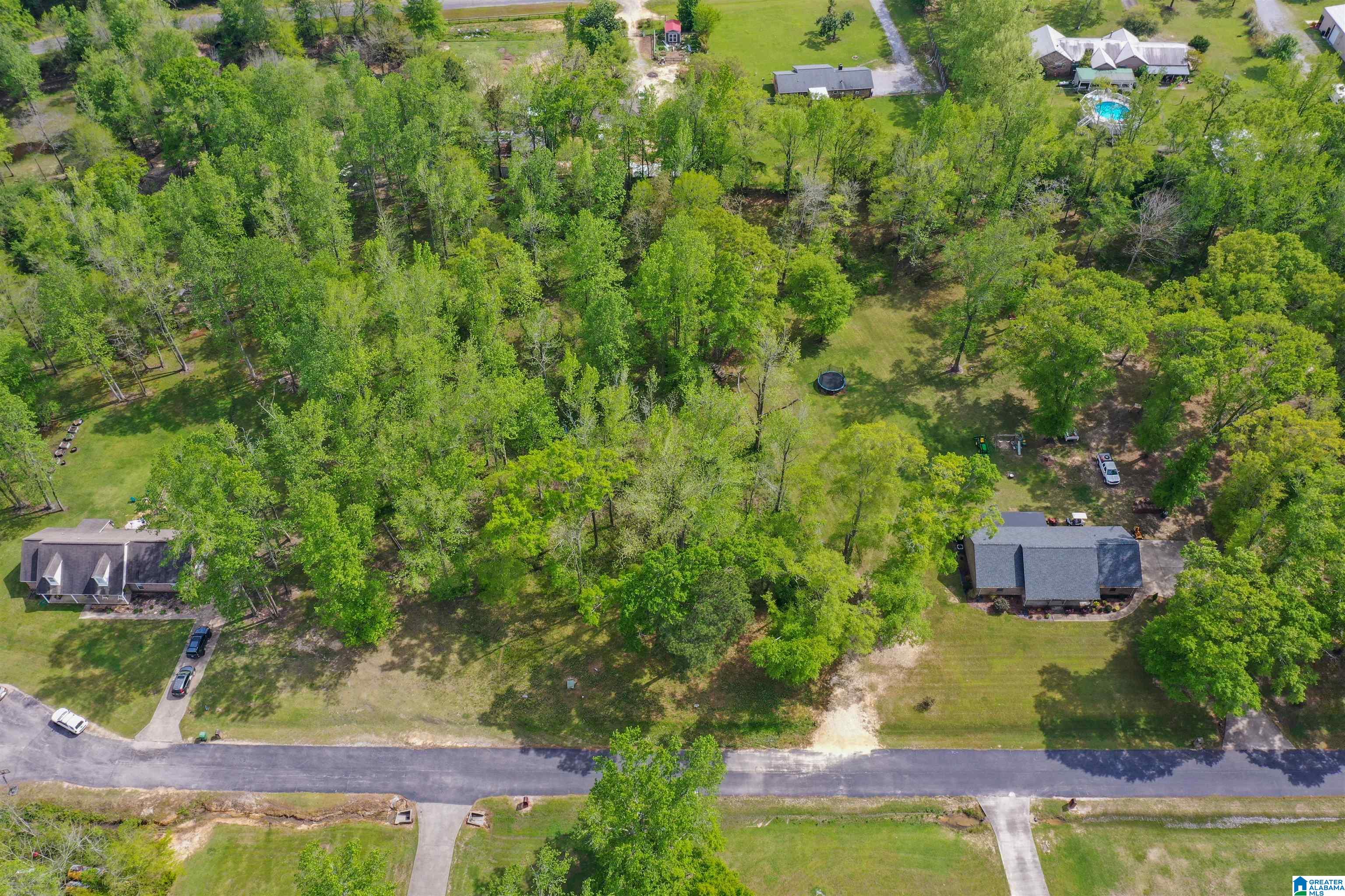 797 County Road Clanton, AL 35045 - Photo 12 of 44