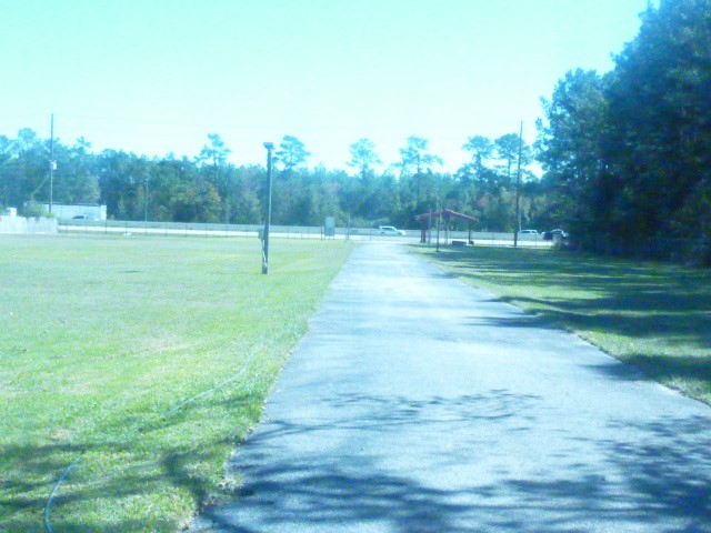 3978 Highway 59 Cleveland, TX 77328 - Photo 4 of 20 a view of grassy field with trees