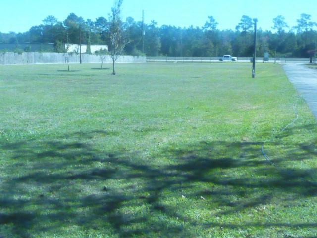 3978 Highway 59 Cleveland, TX 77328 - Photo 5 of 20 a view of a park with large trees