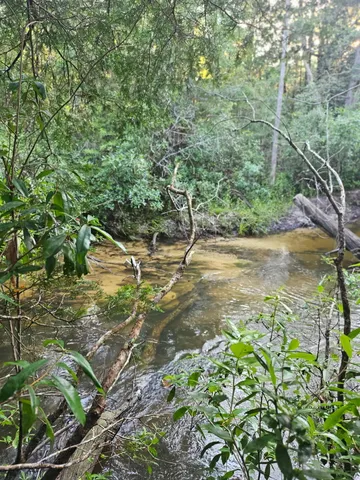 a view of a street with a tree