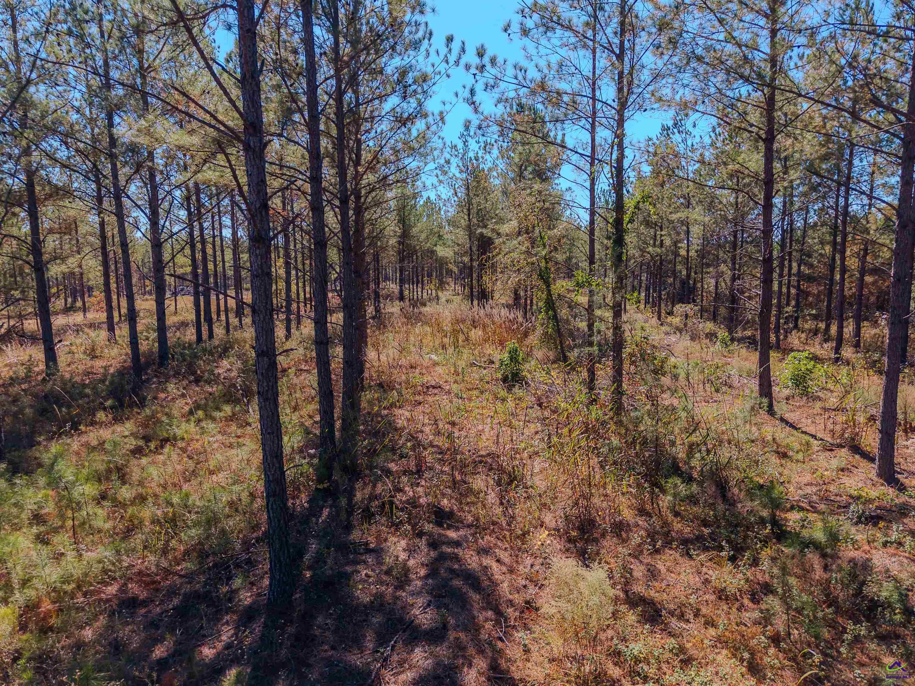 1446 Avera Road Roberta, GA 31078 - Photo 15 of 33