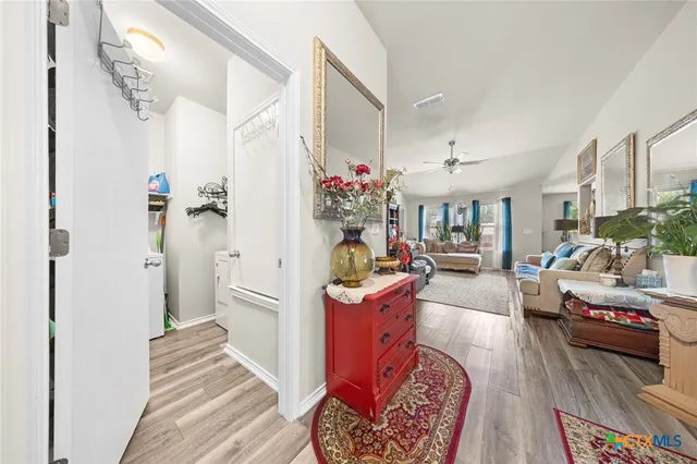 a living room with a couch and a potted plant