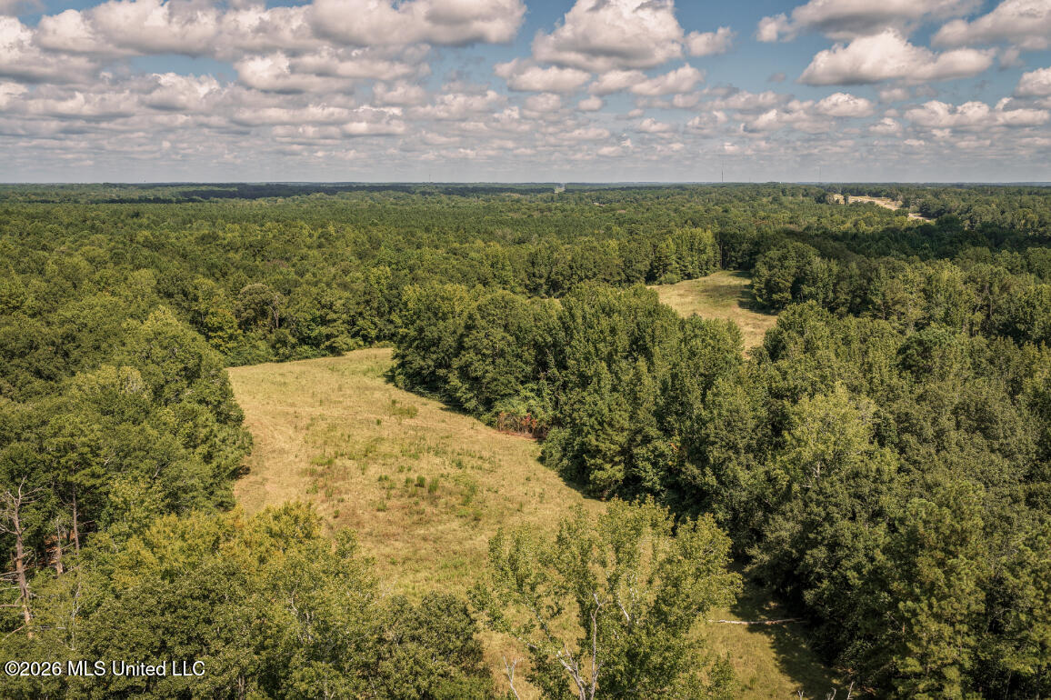 Craft Road Magee, MS 39111 - Photo 27 of 39 DJI_20260813110455_0599_D