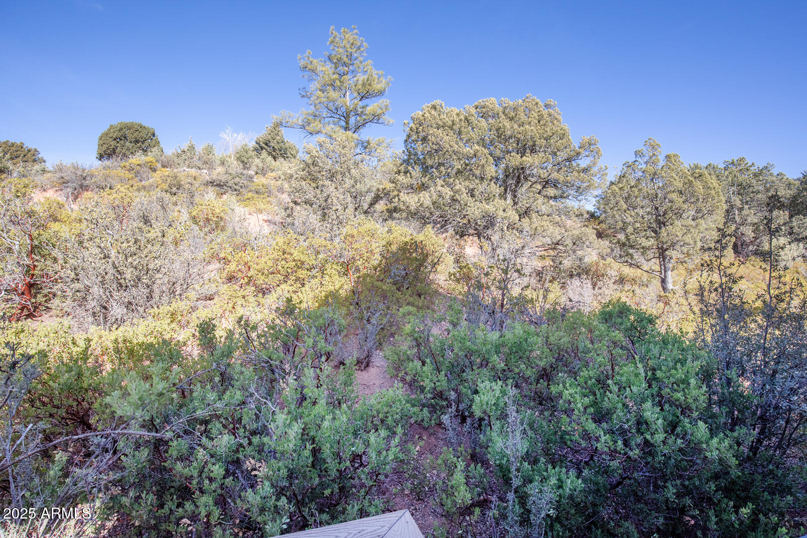 3766 North Raccoon Ridge Circle Pine, AZ 85544 - Photo 37 of 59 0090