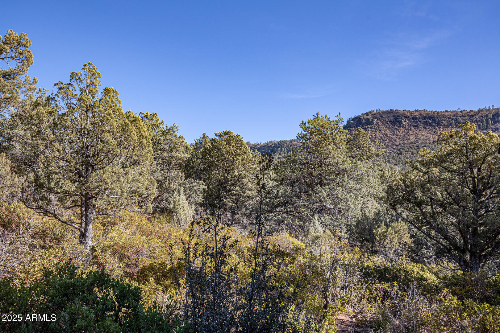 3766 North Raccoon Ridge Circle Pine, AZ 85544 - Photo 38 of 59 0092