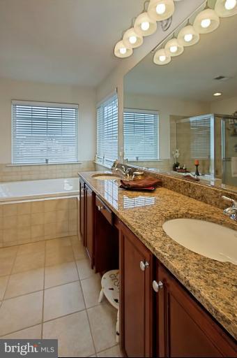 8729 Lords View Loop Gainesville, VA 20155 - Photo 21 of 29 Bath (Master)