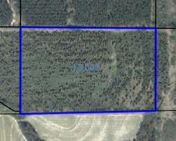 0 Noma Road Slocomb, AL 36375 - Photo 1 of 2