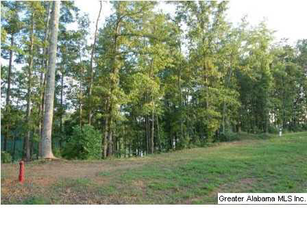 Lot 19 Sunset Ridge, Unit 19 Wedowee, AL 36278 - Photo 2 of 6