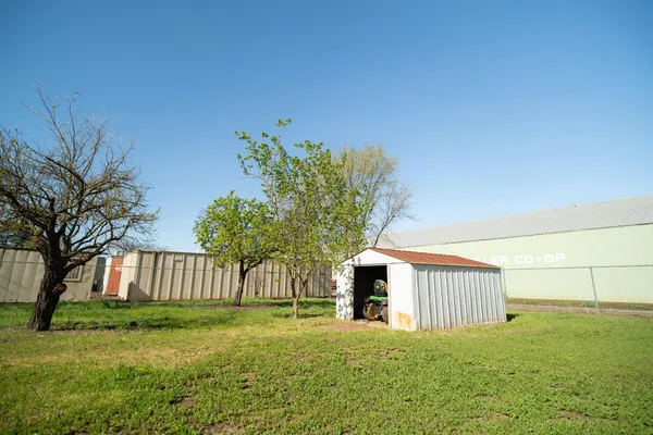 a view of yard with tree s
