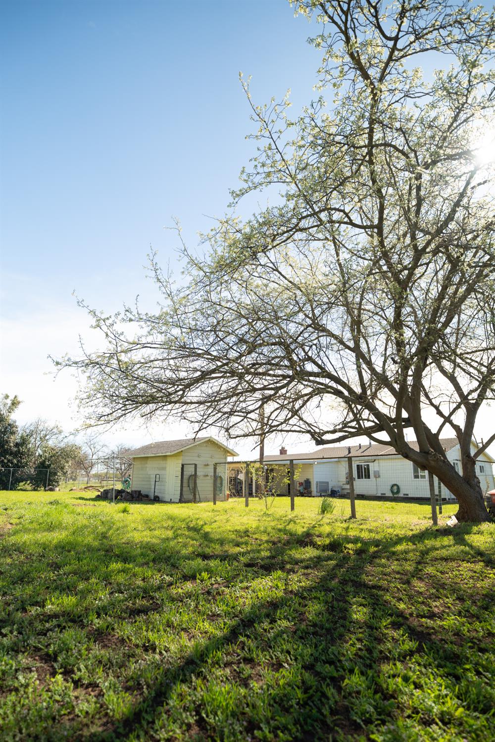 4551 Wheatland Road Wheatland, CA 95692 - Photo 44 of 50 a view of outdoor space with garden and trees