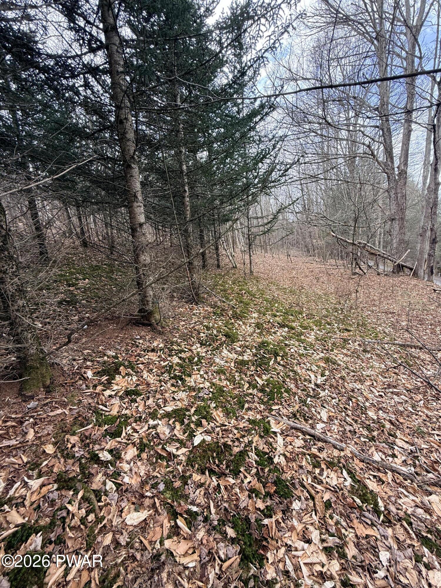 Johnson Hl Road Lenoxville, PA 18441 - Photo 8 of 8