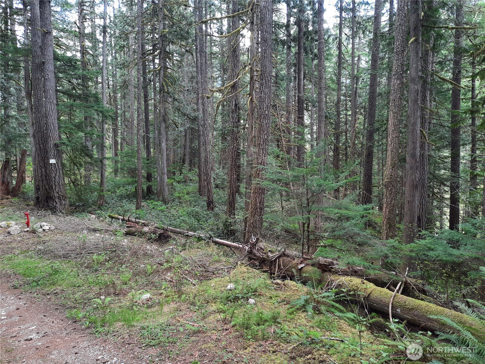 0 Cascade River Road Marblemount, WA 98267 - Photo 1 of 5