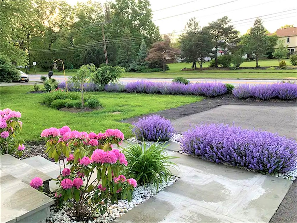 1819 Westfall Road Brighton, NY 14618 - Photo 5 of 25