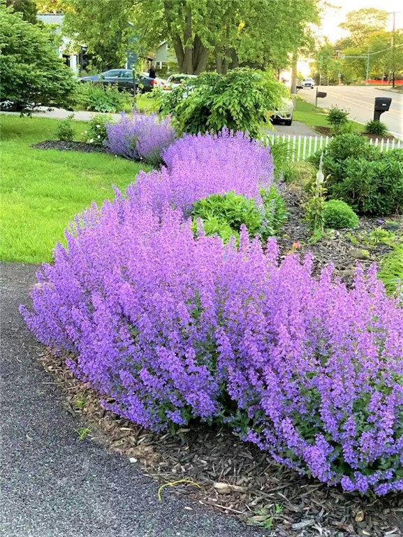 1819 Westfall Road Brighton, NY 14618 - Photo 6 of 25