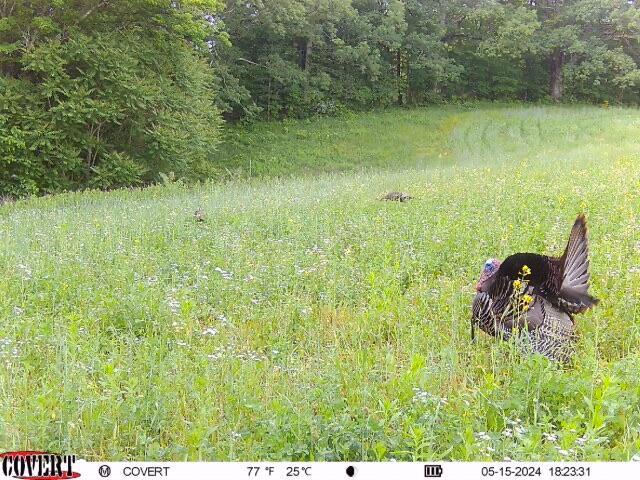 0 Stoneburner Road Northwest Crooksville, OH 43731 - Photo 24 of 26 image0