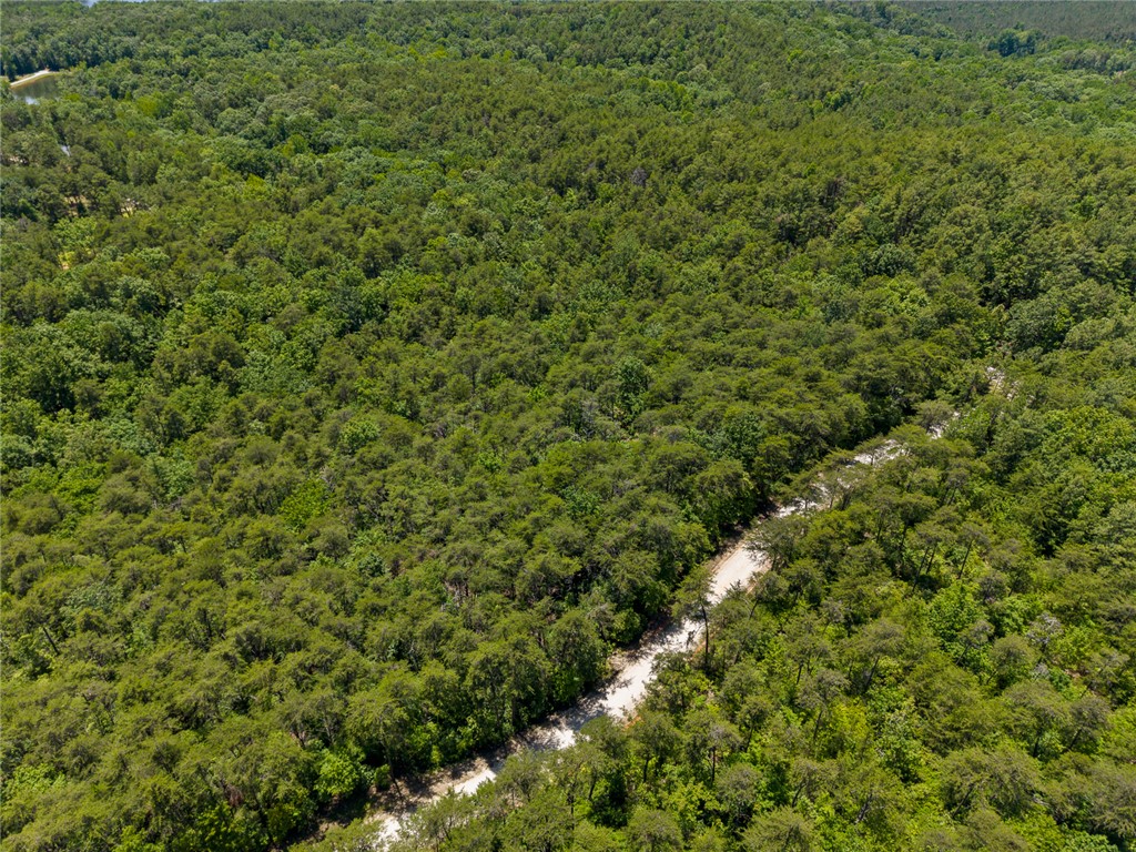 0 Pine Mountain Road Tamassee, SC 29686 - Photo 9 of 15