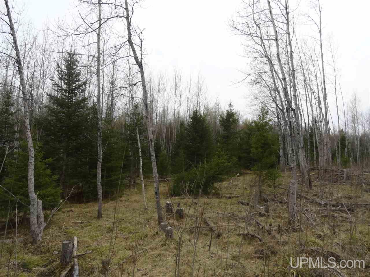 44-acres Ford River Road Arnold, MI 49831 - Photo 31 of 36