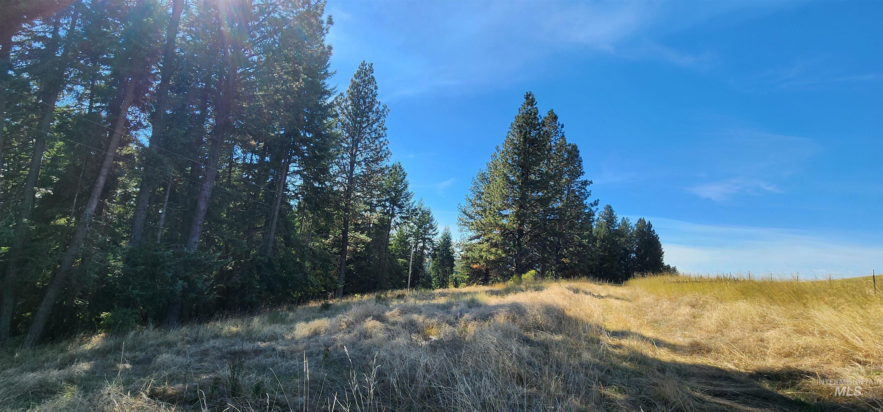 Tbd Red Fir Road Kooskia, ID 83539 - Photo 2 of 34