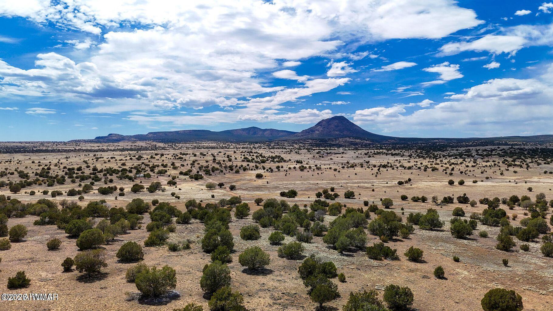 0 West Mile High Road Ash Fork, AZ 86320 - Photo 11 of 21 20260114170748670759000000-o