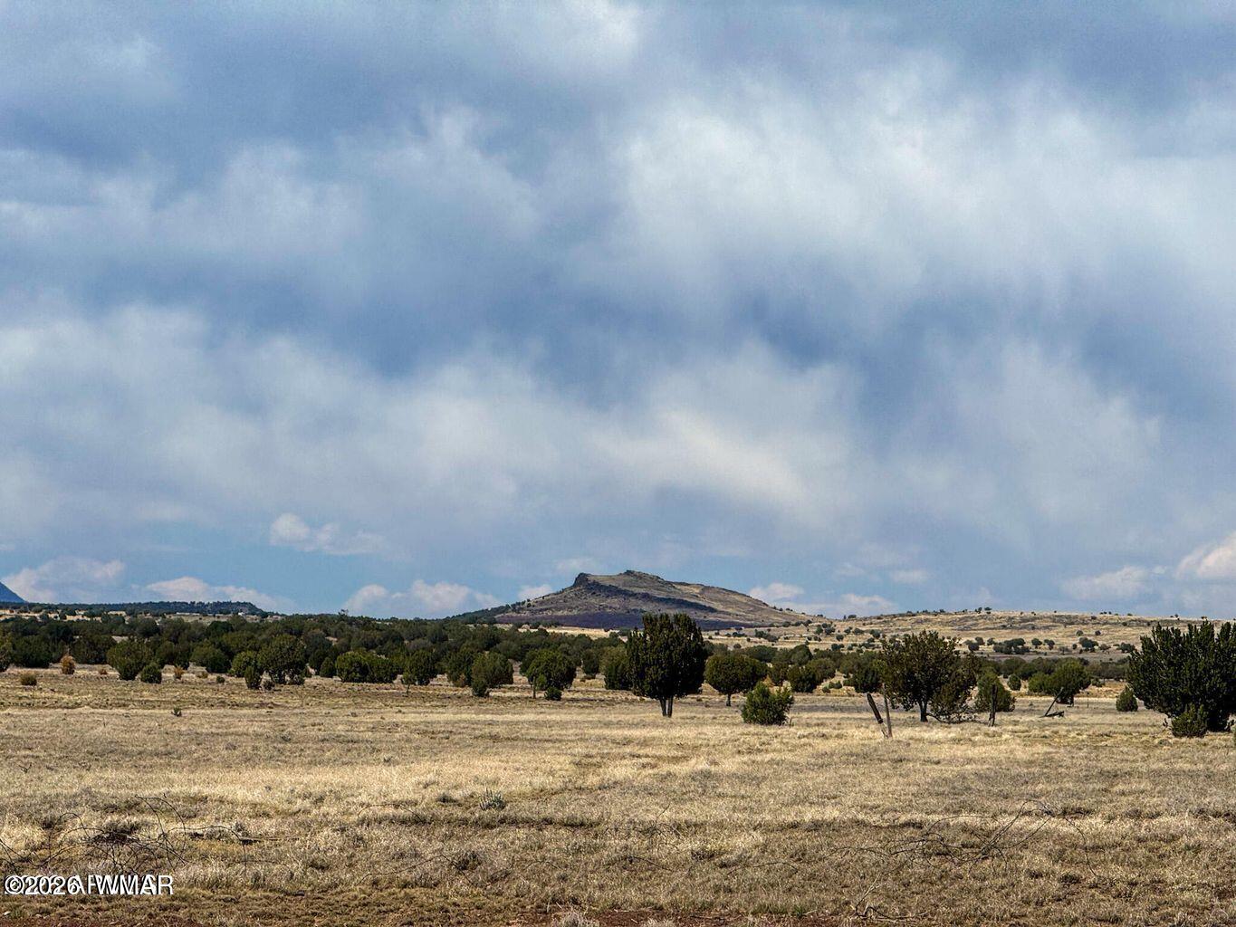 0 West Mile High Road Ash Fork, AZ 86320 - Photo 17 of 21 20260114170756188389000000-o