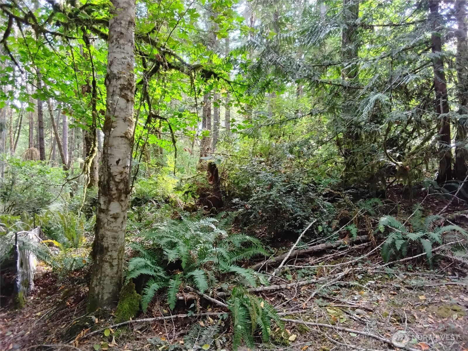 0 East Frontier Road Grapeview, WA 98546 - Photo 24 of 35 Gallery Image 24