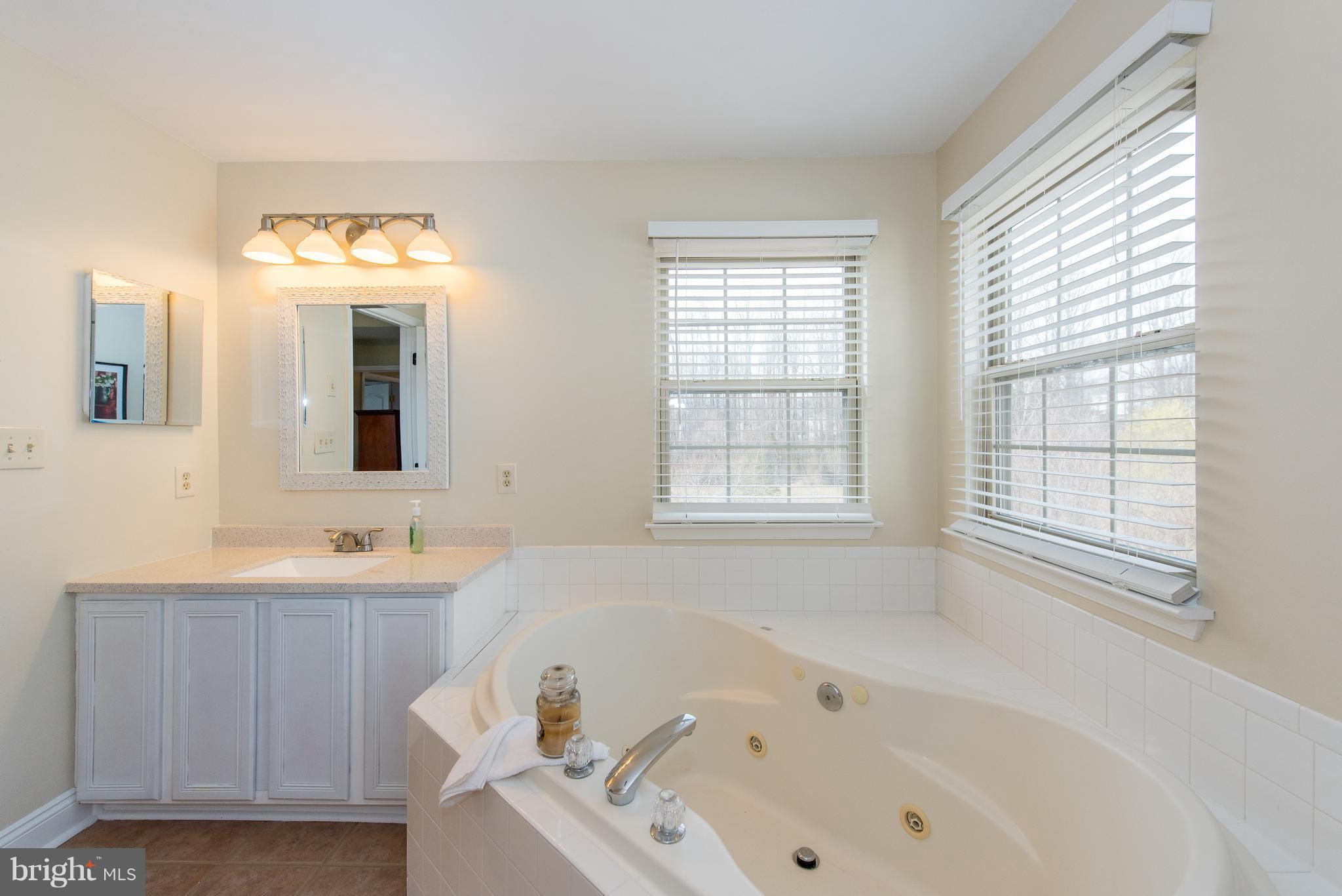 9607 Watts Road Owings Mills, MD 21117 - Photo 19 of 30 Bath (Master)