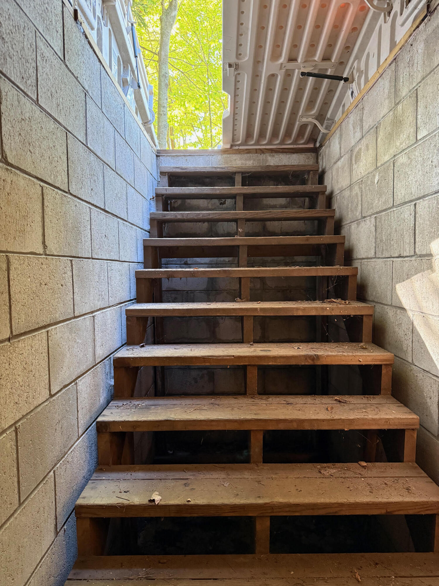 4282 West Fox Farm Road Manistee, MI 49660 - Photo 47 of 53 Basement