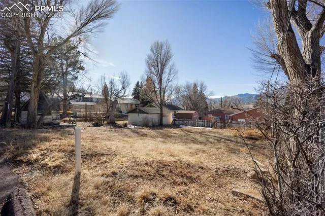 a view of a yard with a large tree