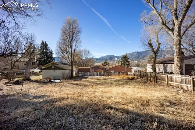 a view of a yard with a tree