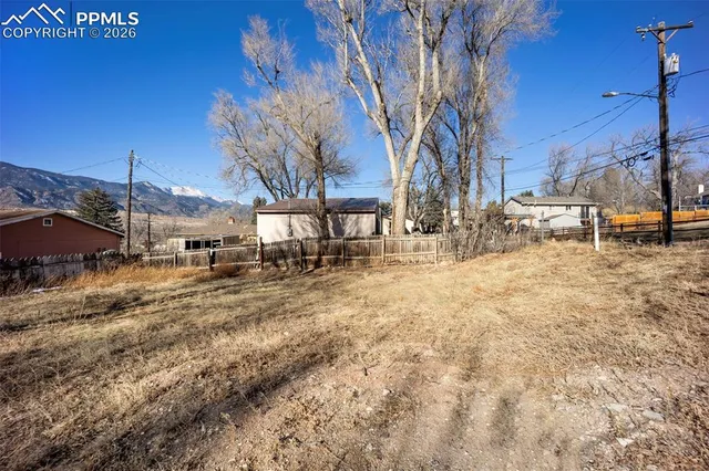 a view of yard with tree