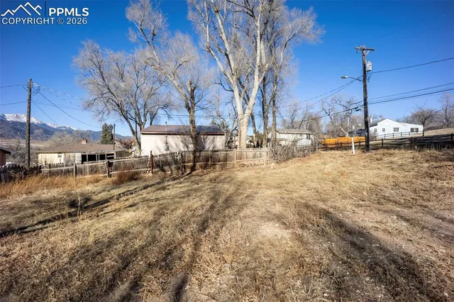 a view of a yard with a tree