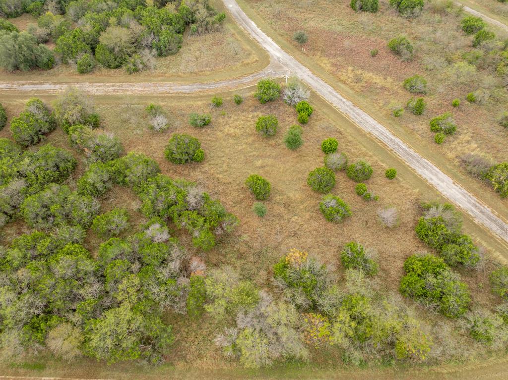 39160 Rock Ridge Drive Whitney, TX 76692 - Photo 5 of 27 a view of ocean with large trees