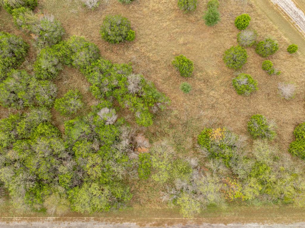 39160 Rock Ridge Drive Whitney, TX 76692 - Photo 6 of 27 a view of a yard with plants
