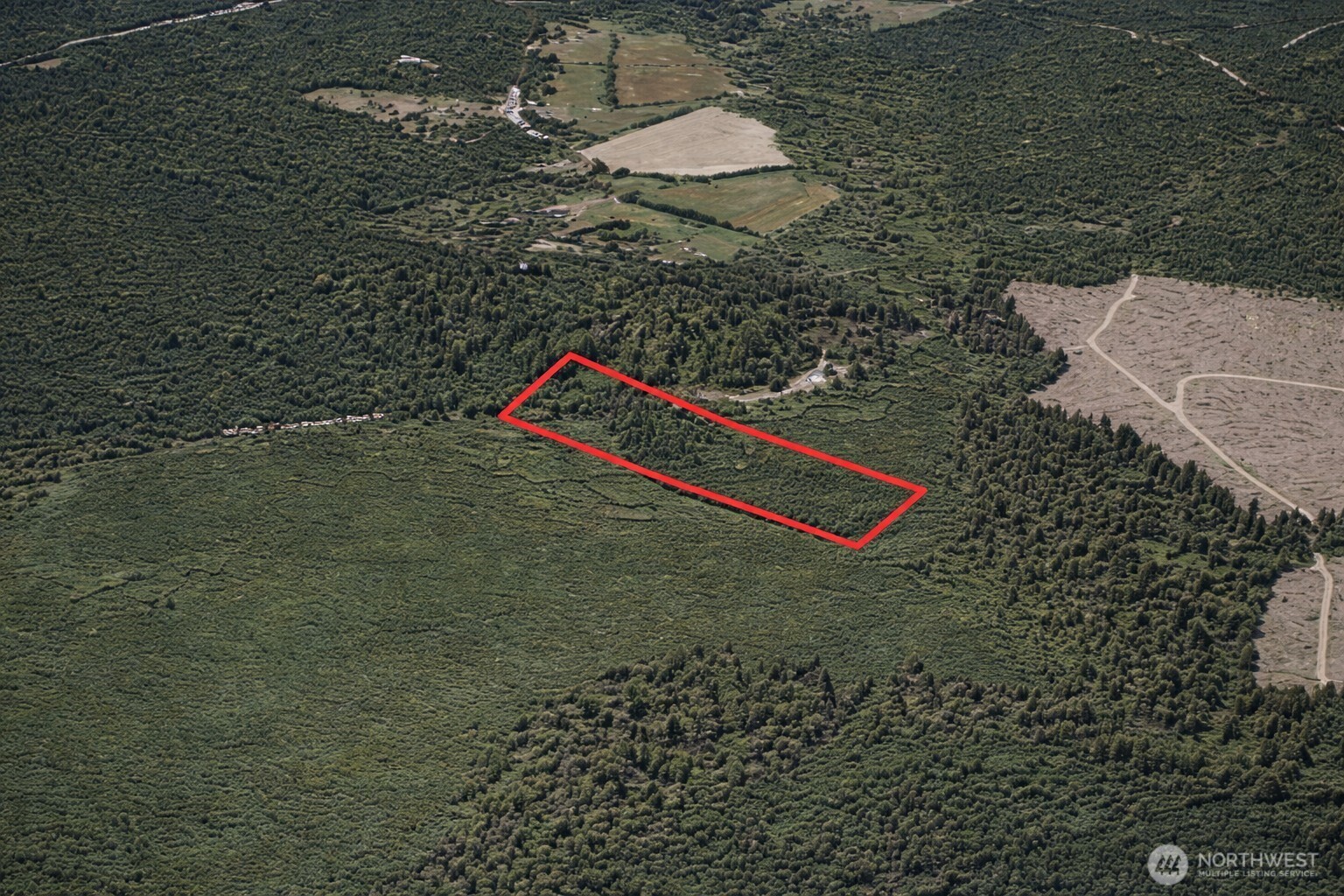 1063 West Carmen Road South Shelton, WA 98584 - Photo 3 of 19