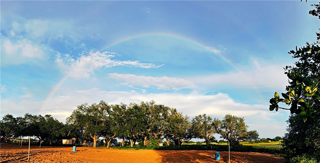 490 Hernandez Road Poteet, TX 78065 - Photo 17 of 26