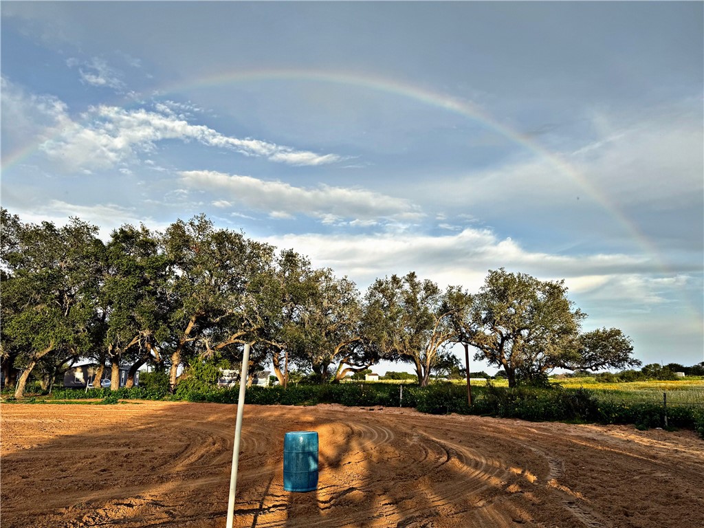 490 Hernandez Road Poteet, TX 78065 - Photo 18 of 26