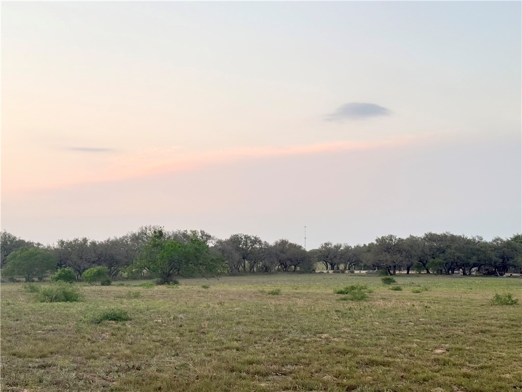 490 Hernandez Road Poteet, TX 78065 - Photo 22 of 26